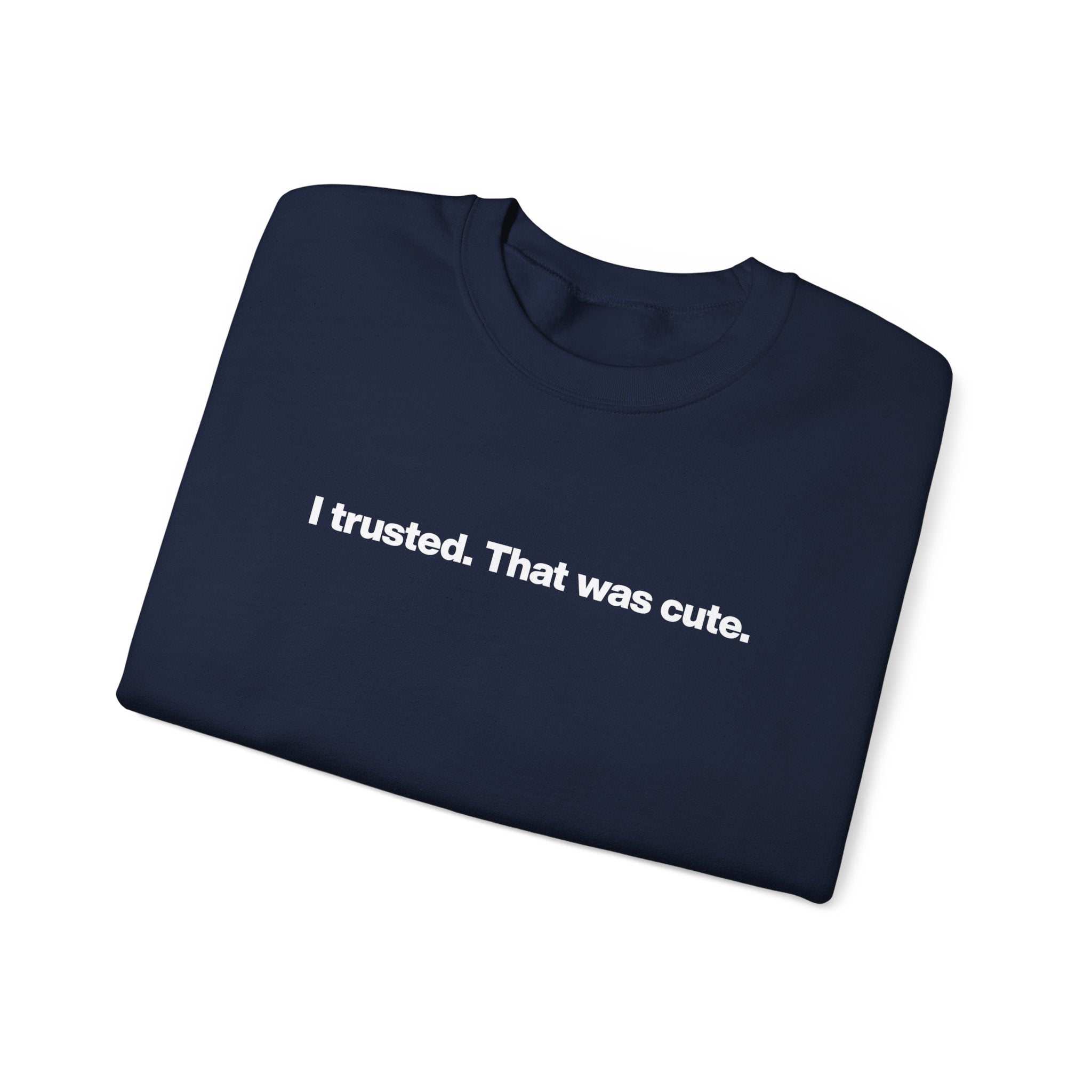Crewneck Sweatshirt — "I trusted. That was cute." Minimalist Statement Pullover